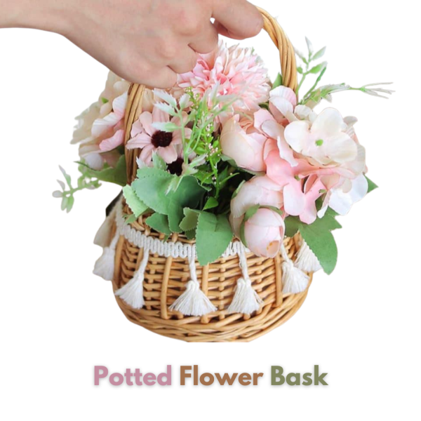 𝙿𝙾𝚃𝚃𝙴𝙳 𝙵𝙻𝙾𝚆𝙴𝚁 𝙱𝙰𝚂𝙺