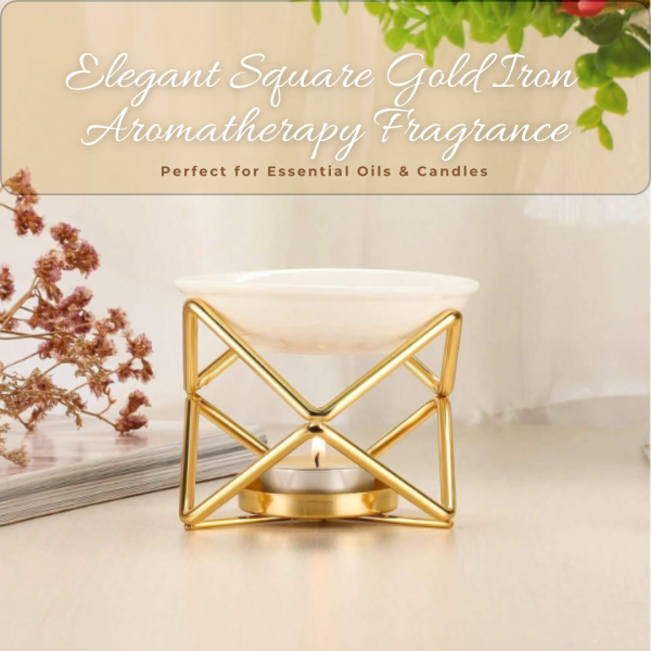 𝙴𝚂𝚂𝙴𝙽𝚃𝙸𝙰𝙻 𝙾𝙸𝙻 𝙻𝙰𝙼𝙿