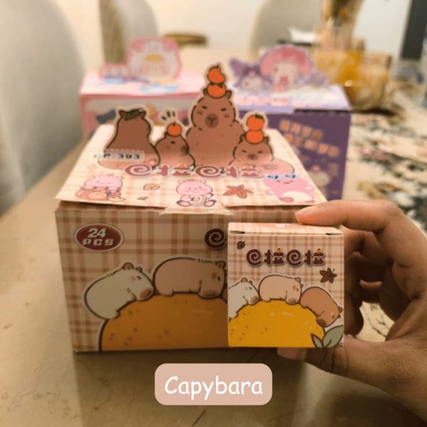 𝙲𝙰𝙿𝚈𝙱𝙰𝚁𝙰,𝚂𝙰𝙽𝚁𝙸𝙾 𝙰𝙽𝙳 𝚉𝙰𝙸𝚉𝙰𝙸 𝙱𝙻𝙸𝙽𝙳 𝙱𝙾𝚇